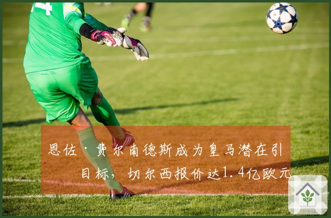 恩佐·费尔南德斯成为皇马潜在引援目标，切尔西报价达1.4亿欧元